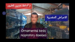 Treating respiratory disease in birds أرخص وأسهل علاج للمرض التنفسي في الطيور م أسامة حسين