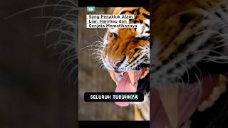 Mimpi Buruk Para Predator: Kisah Kekuatan Harimau🤔❓ #faktaunik #animals #harimau