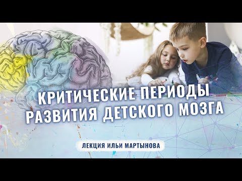 Критические периоды развития детского мозга | Илья Мартынов