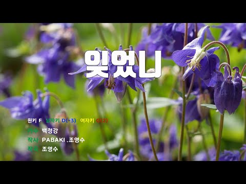 [은성 반주기] 잊었니 - 백청강