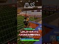 ゴールネットにハメられ