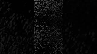 Particle Ambience 6