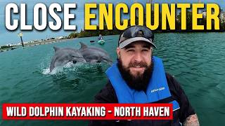 Kayaking with WILD DOLPHINS! 🐬 (Adelaide’s Most Underrated Adventure)