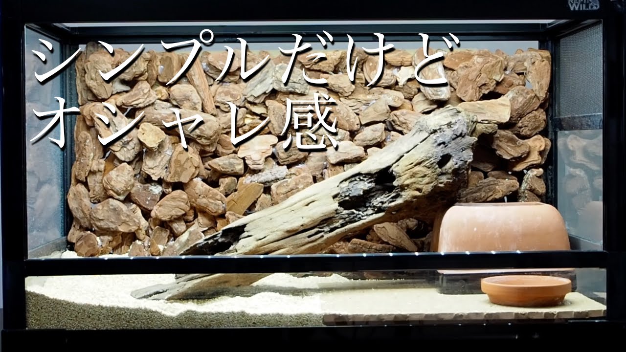 レオパ】バークチップでビバリウムっぽく見える壁を作って新たな