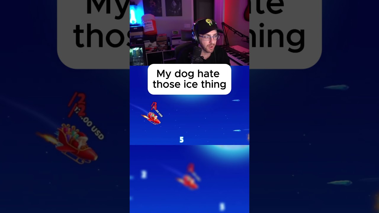 my dog hate those ice thing