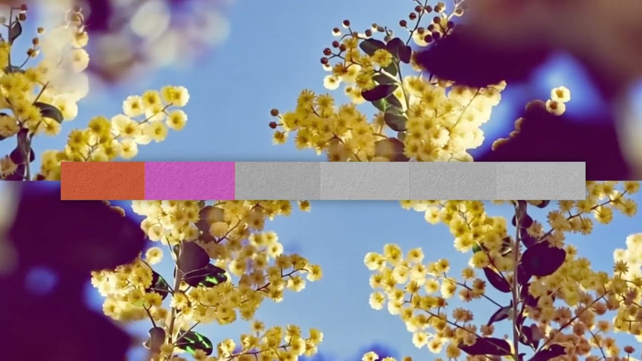 Massane & Panama - Nowhere to Hide (Official Visualiser)