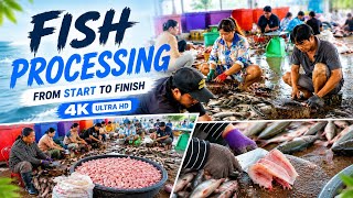 Traditional Fish Filleting Process | Skilled Fish Cutting | Fresh Fish Processing 4K