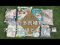 【Vlog203】【多肉植物】ついに決定！市販の多肉植物の土オススメはどれ？後編【大人の自由研究】