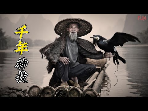 快失傳的千年歷史捕魚神技 | 美國“海豚特種兵” | 人與動物的超強合作 | 蜜蜂能夠探測炸彈 | 動物幫人類完成的特殊工作