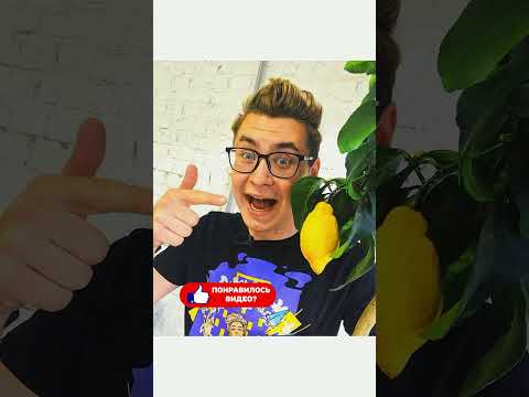 А4 / новое видео а4 а4 новый ролик | шортс влог а4 / а4 новые серии. канал а4 / видео влад бумага