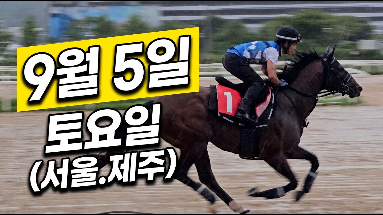 [ 2026년 9월 5일 토요(서울.제주)경마~!]