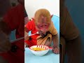 Poor monkey is back to eating after a big sadness #monkeyshort #babymonkey