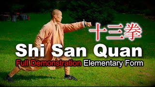 十三拳 · Shi San Quan 👊 Full Demonstration 👊 Shaolin Elementary Form screenshot 3