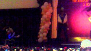 Blue Cat Diva Productions