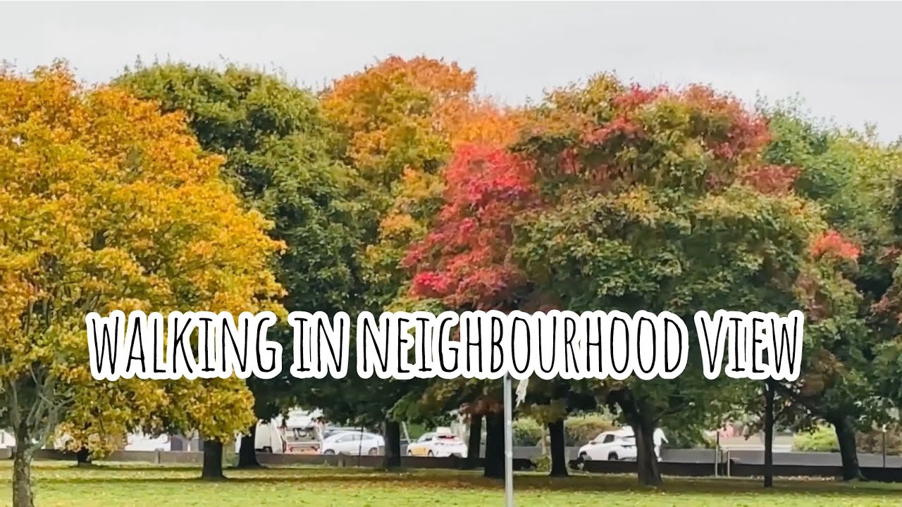 walking in neighbourhood view 
