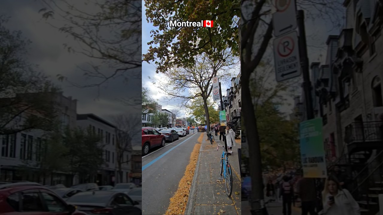 afternoon breeze and Peace in Montreal 