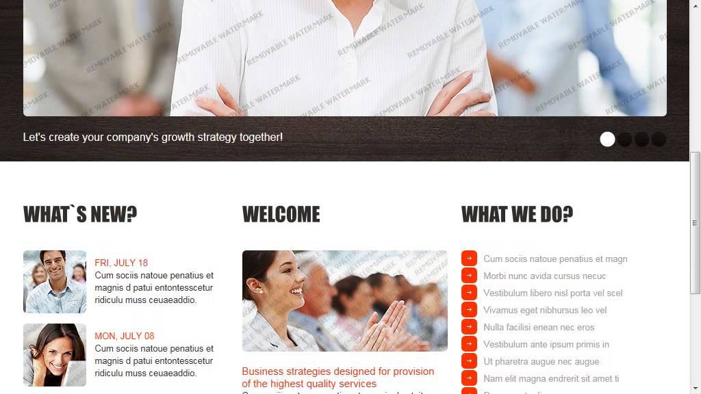 Premium Service Website Template