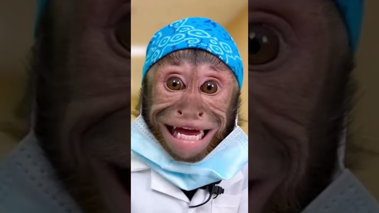 When your doctor is a monkey! 🐒💄 
