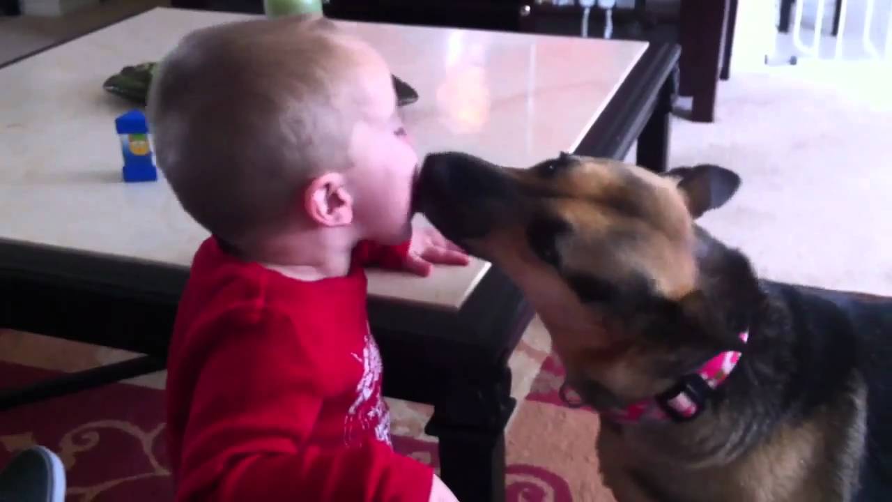 Baby kissing a dog YouTube