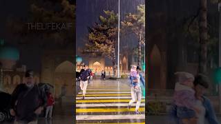 Registon. Подпишитесь На Канал.