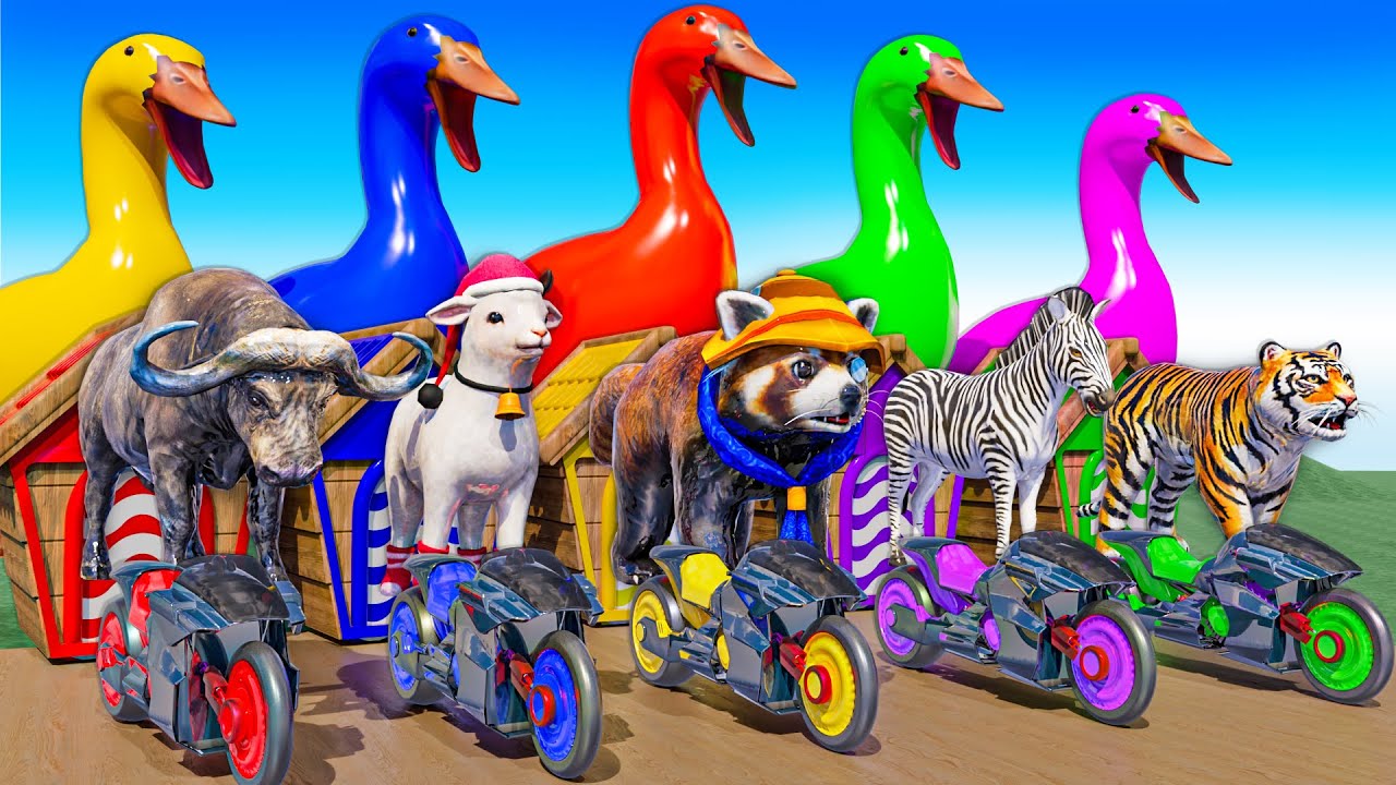 Long Slide Game With Cow Elephant Gorilla Hippopotamus Giant Scorpion 3D Animal Game Funny 3D Anim