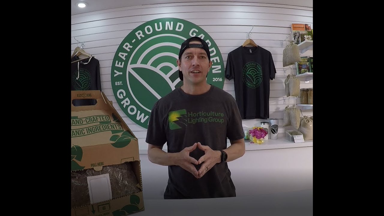 Grow Tip - Mushroom Bags