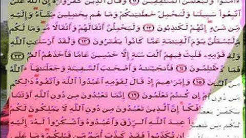 القران الكريم سورة العنكبوت من الاية 1 الى الاية 35