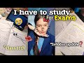 Preparing for my 🐣*class 11th EXAMS📚 Ep:2