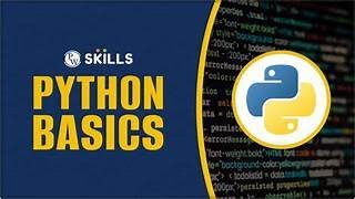 Python Basics for Beginners | Learn Functions, Variables & If Statements