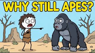 If Ancient Humans Evolved From Apes, Why Do Apes Still Exist