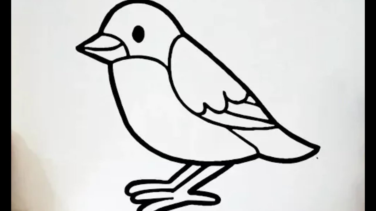 رسم عصفور بأسهل طريقة للمبتدئين/how to draw a bird for beginner