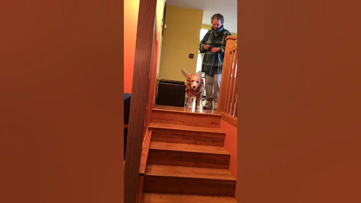Amber Conquers Stairs