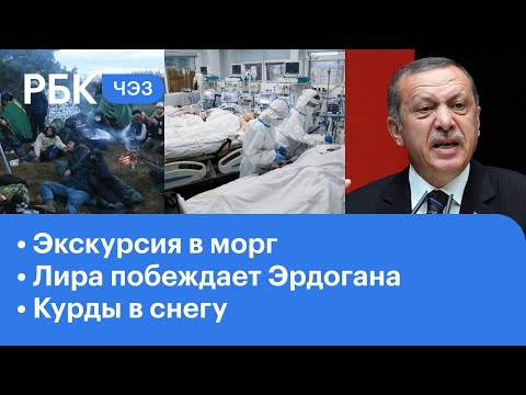 Антипривочников пригласили в морг. Крупнейший обвал турецкой лиры. Беженцы замерзают