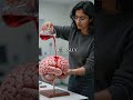 Why Loneliness Actually Destroys Your Memory (Science Explained)