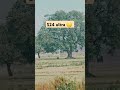 20x zoom test s24 ultra🤫#youtubeshort#viralvideo #ytshorts#s24ultra#zooming#s24ultravsiphone16zoom