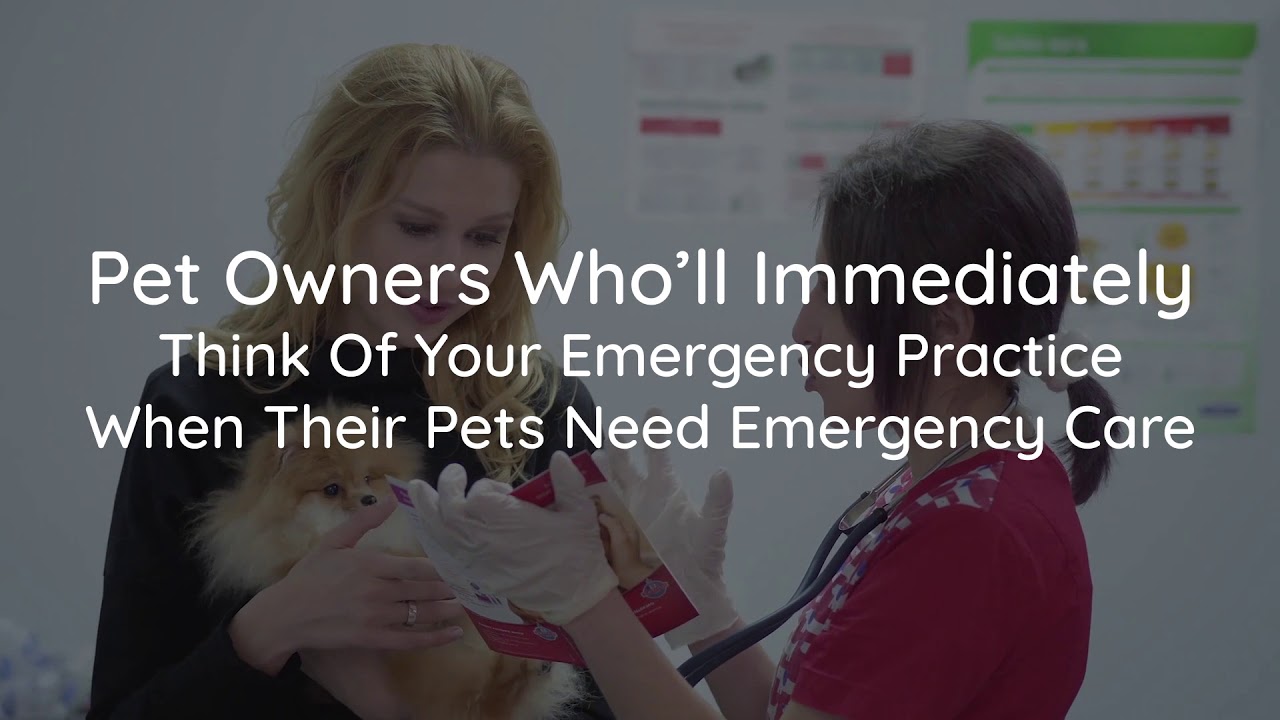 How to Attract Your Ideal Veterinary Clients