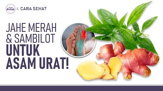 Basmi Asam Urat Dengan Jahe Merah dan Sambiloto! Ini Cara Raciknya | Hidup Sehat tvOne