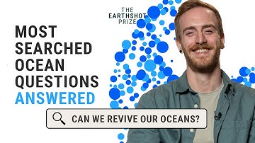 Can we reverse the damage to the ocean? | The Internet