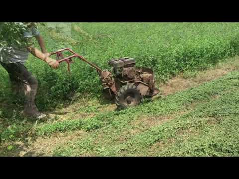 Видео: 10 бири за косачки, които трябва да пиете това лято