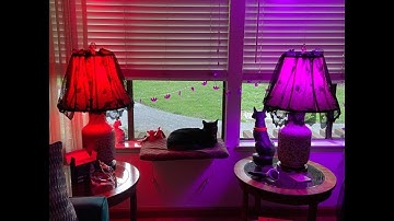 Boxlood Smart Light Bulbs, WiFi Smart Bulbs That Work with Alexa Echo Google Home Siri, No Hu Review