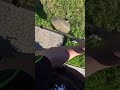 Perfect Lawn Edge In Under A Minute! #Shorts