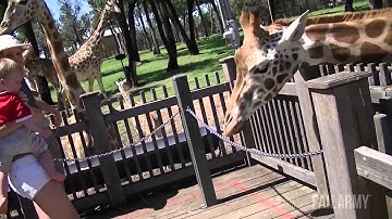 Best Fails of the Week 2 March 2015    FailArmy 1