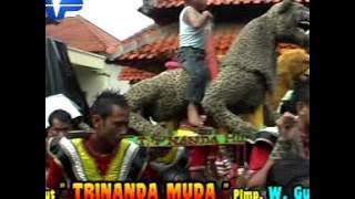 6 Amben Gropak Naga Dangdut Trinanda Muda