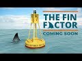 The Fin Factor: Coming Soon in Summer 2018!