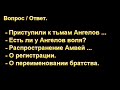 О регистрации. Н. С. Антонюк. МСЦ ЕХБ.