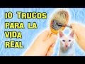 10 Trucos Para La Vida Real Que no Conocías - Experimentos Caseros - LlegaExperimentos