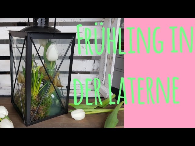 Frühling in der Laterne /DIY/Floristik/Frühlingsdeko