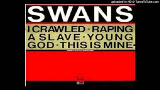 Watch Swans Raping A Slave video