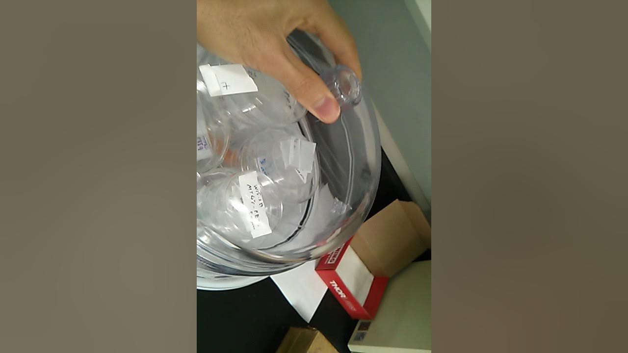 How to use a desiccator YouTube