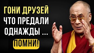 Каждое Слово Берёт За Душу! Мощные И Мудрые Цитаты О Прощении И Обидах.